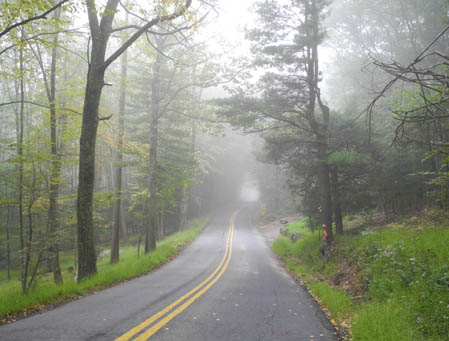 Foggy road